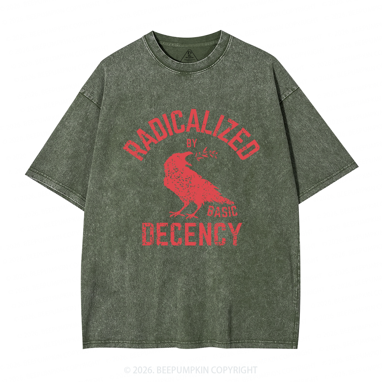 Radicalized By Basic Decency Equality Washed T-Shirts