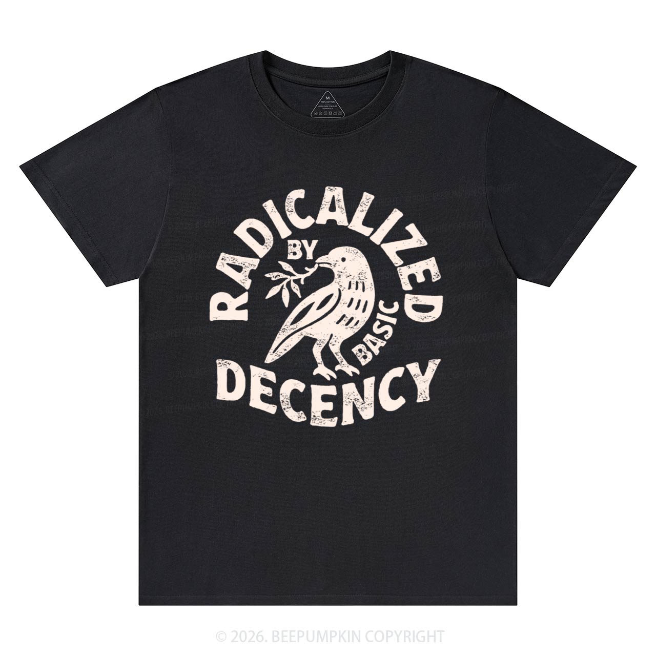 Radicalized By Basic Decency T-Shirts Beepumpkin