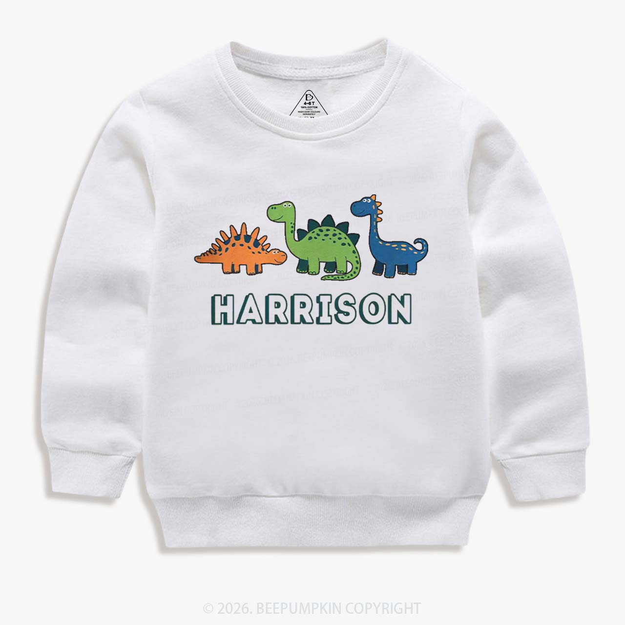 Personalized Cute Dinosaur Name Kid's Sweatshirt