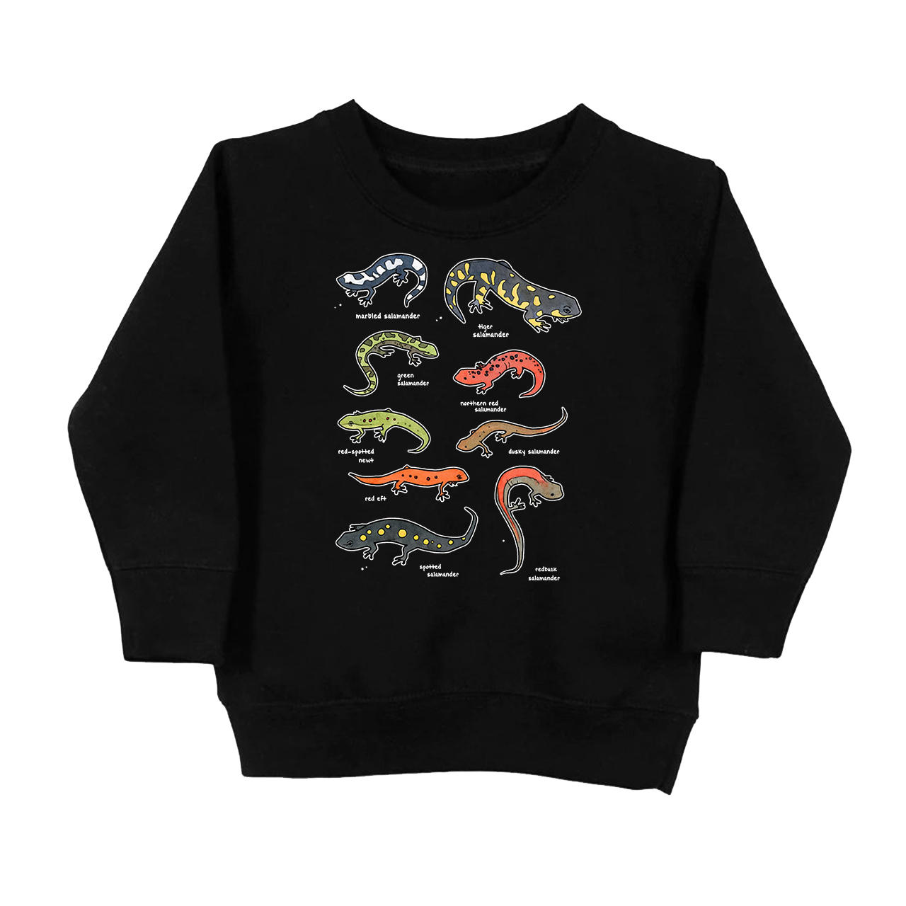 Salamanders Chart Kids Sweatshirt