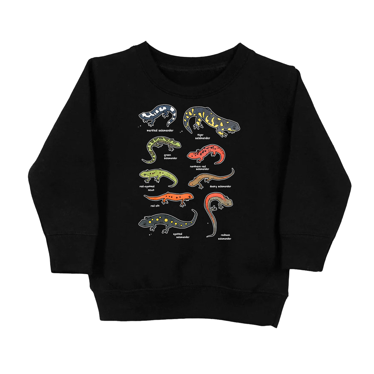 Salamanders Chart Kids Sweatshirt