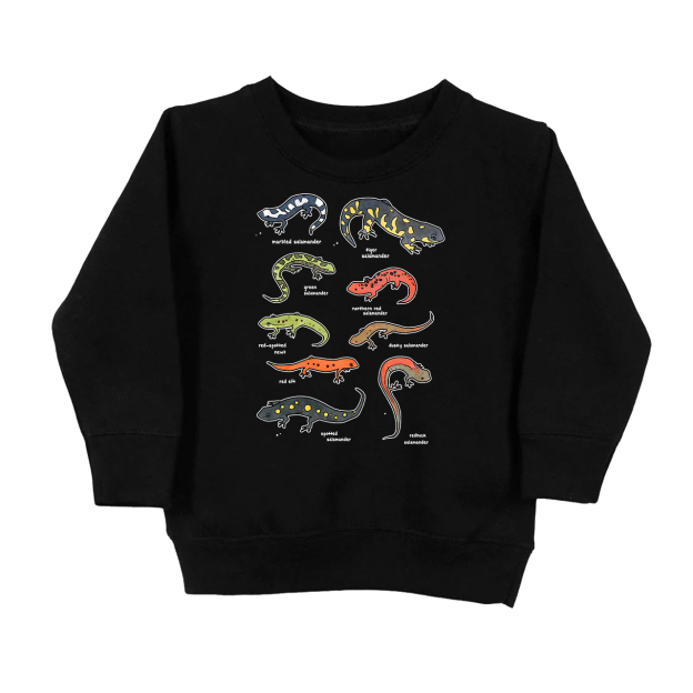 Salamanders Chart Kids Sweatshirt