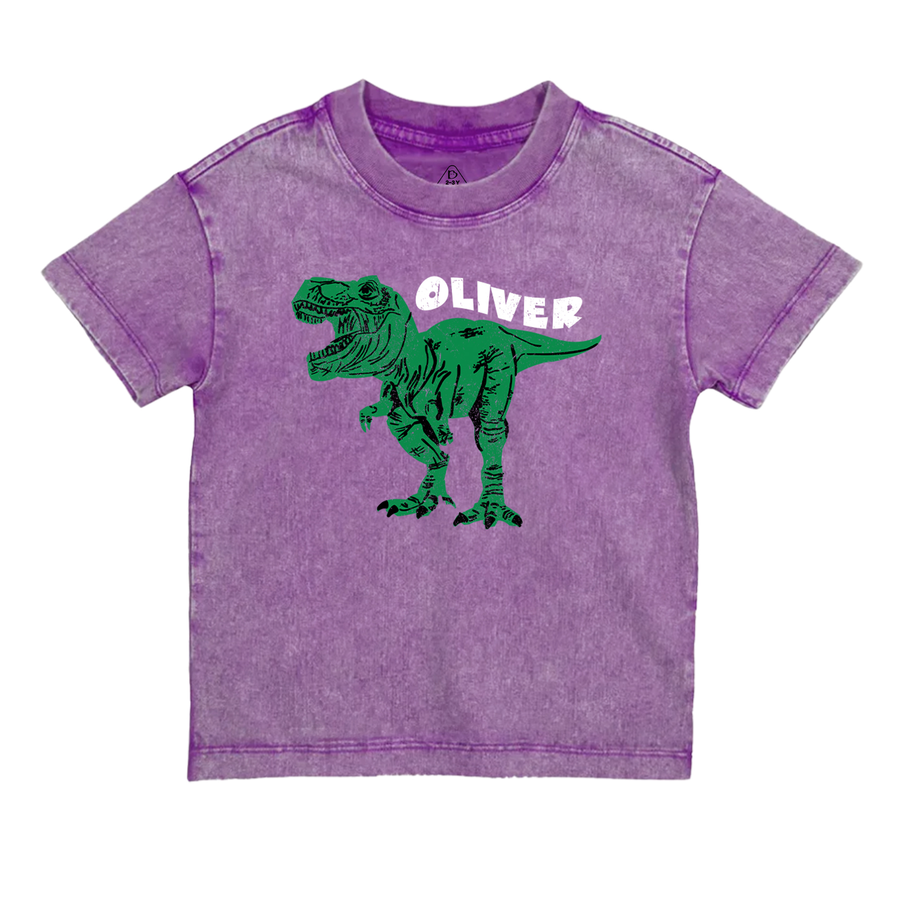  Personalized Dinosaur Toddler&Kids Washed Tees         