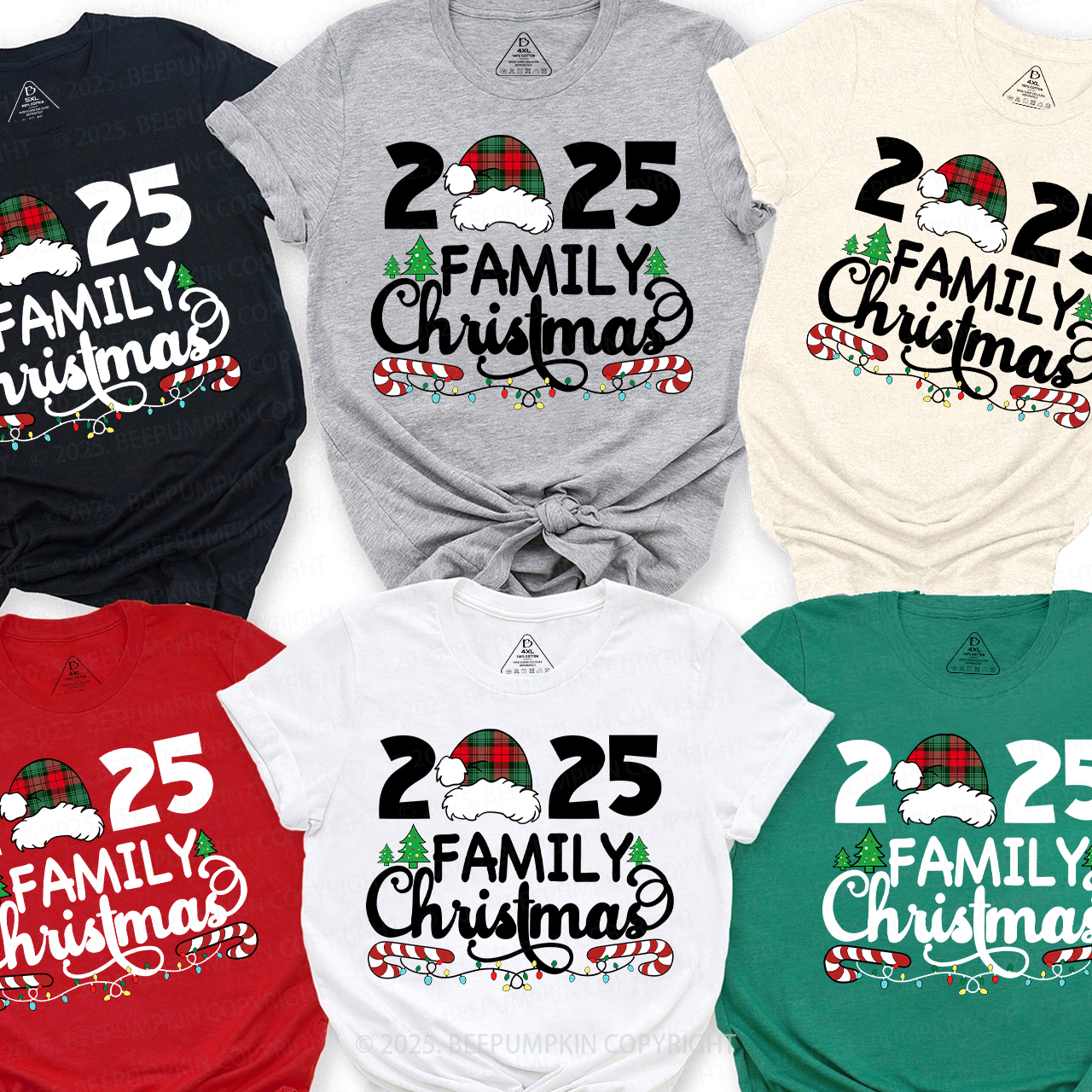 Family Christmas 2025 Plaid Hat Matching T-Shirts Beepumpkin