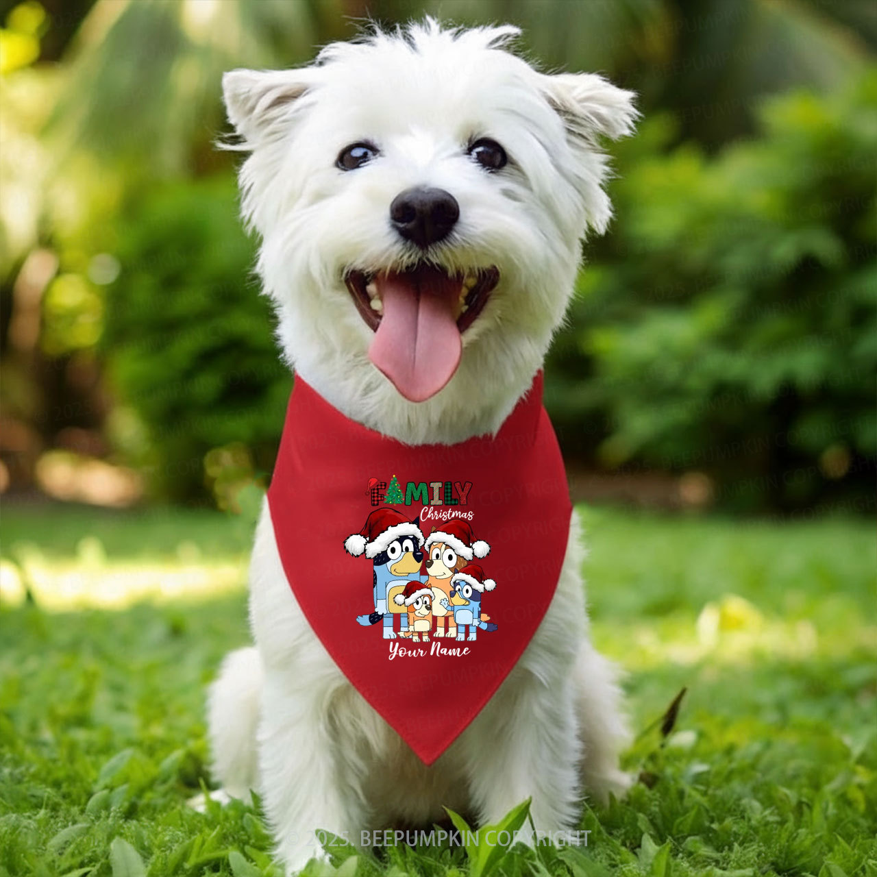 Personalized Holiday Pawfect Family Matching T-Shirts Beepumpkin