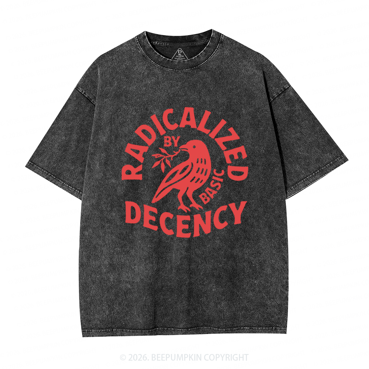 Radicalized By Basic Decency Washed T-Shirts