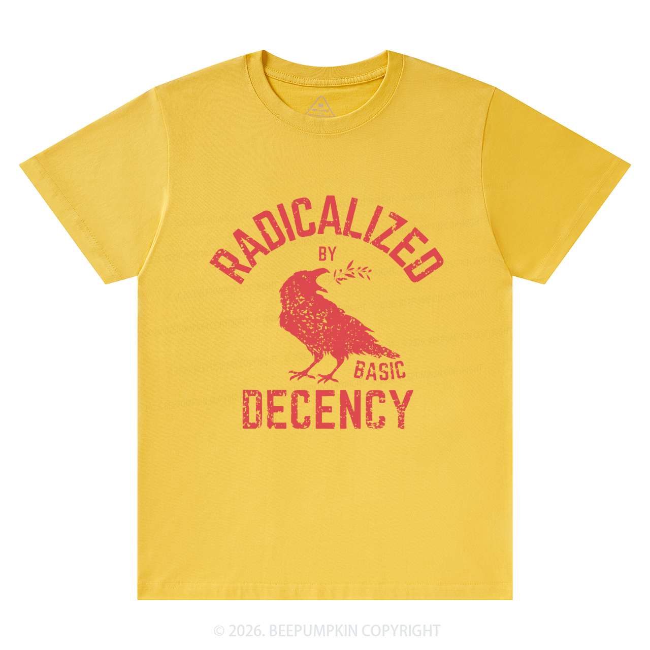 Radicalized By Basic Decency Equality T-Shirts