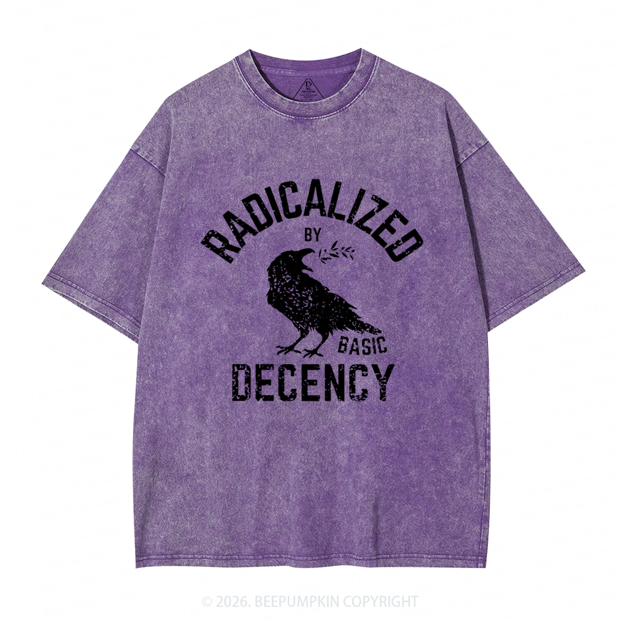 Radicalized By Basic Decency Equality Washed T-Shirts