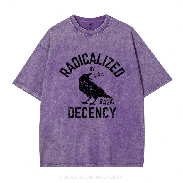 Radicalized By Basic Decency Equality Washed T-Shirts