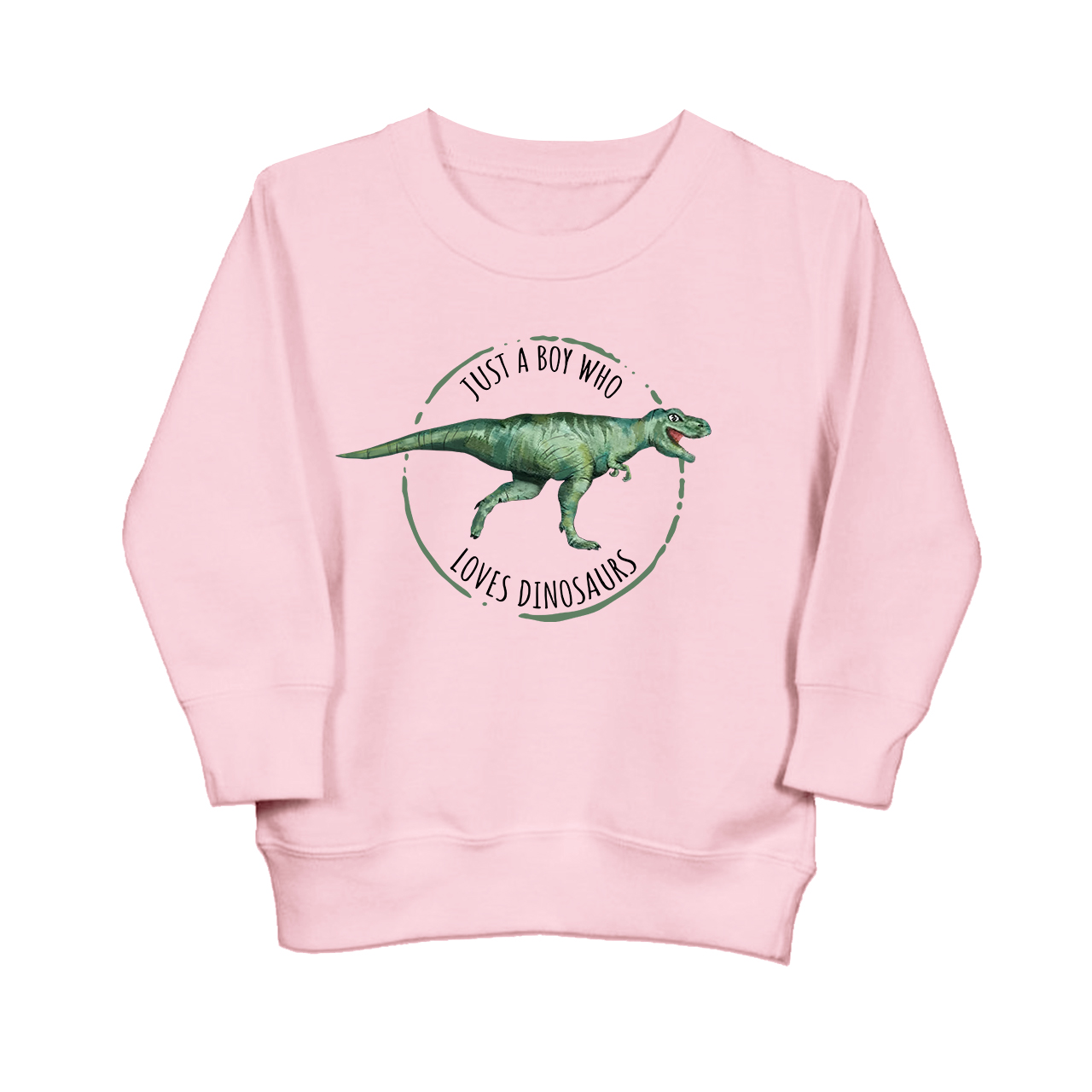 Just A Boy Who Loves Dinosaurs Kids Sweatshirt