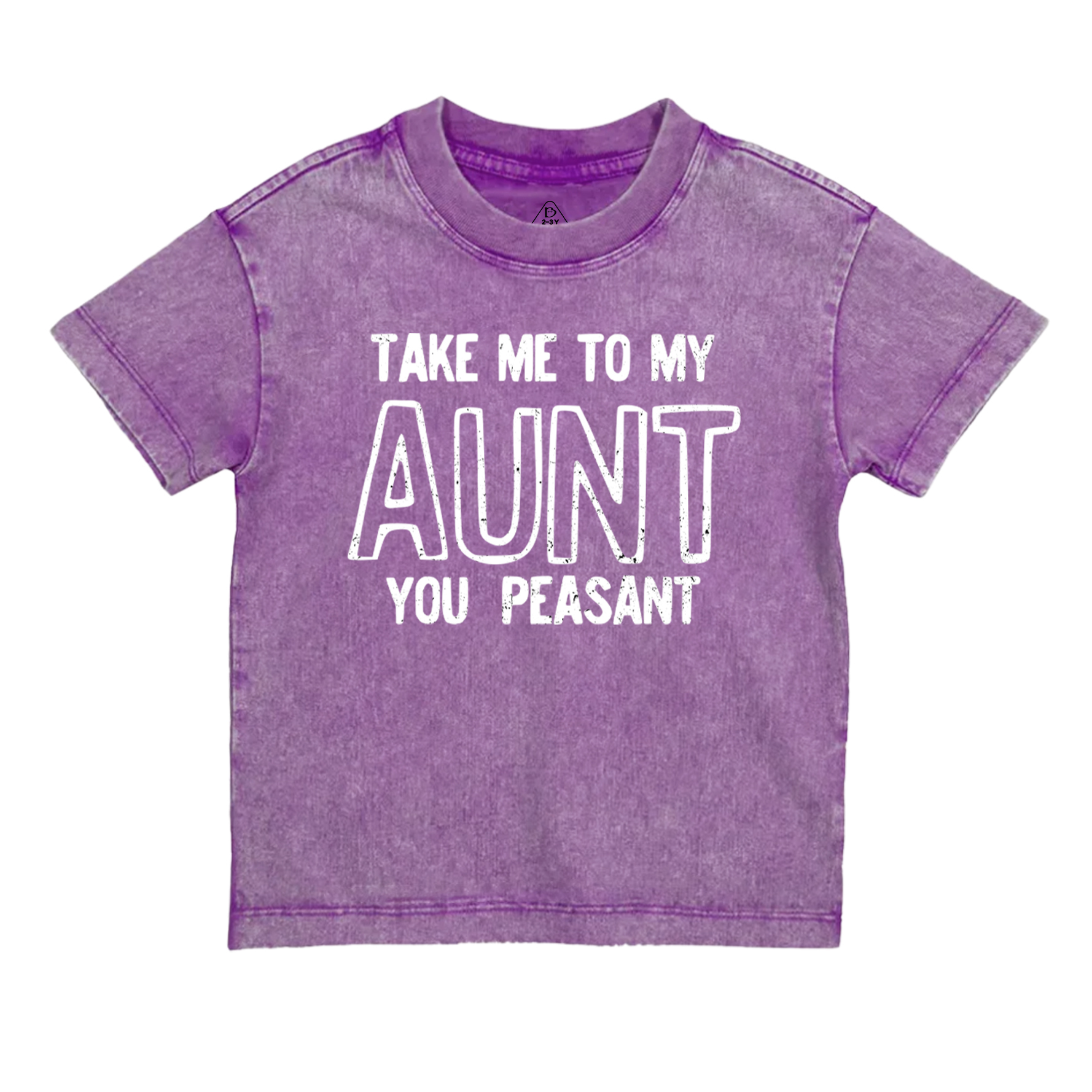 Take Me To My Aunt You Peasant Toddler&Kids Washed Tees