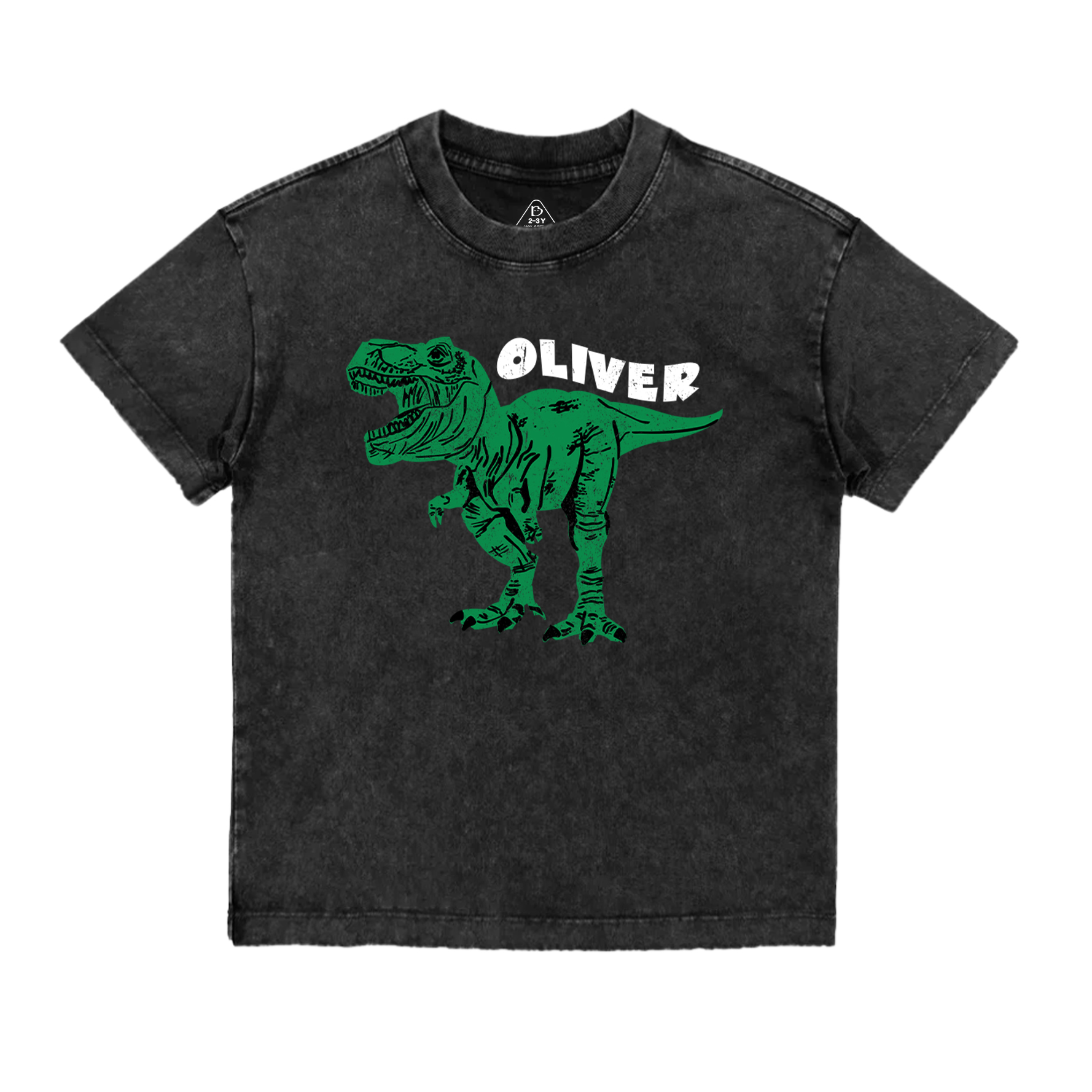  Personalized Dinosaur Toddler&Kids Washed Tees         