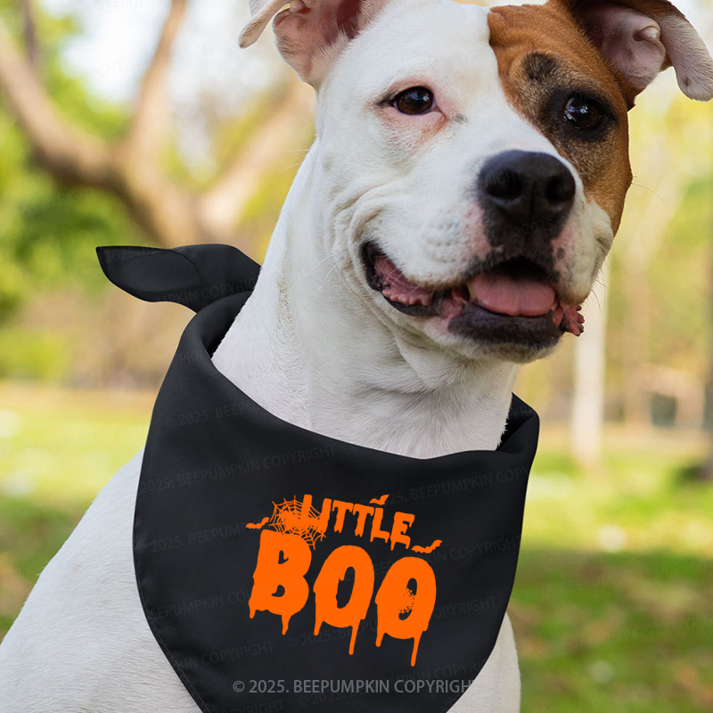 Personalized Deady Mummy Little Boo Halloween Family Matching Shirts