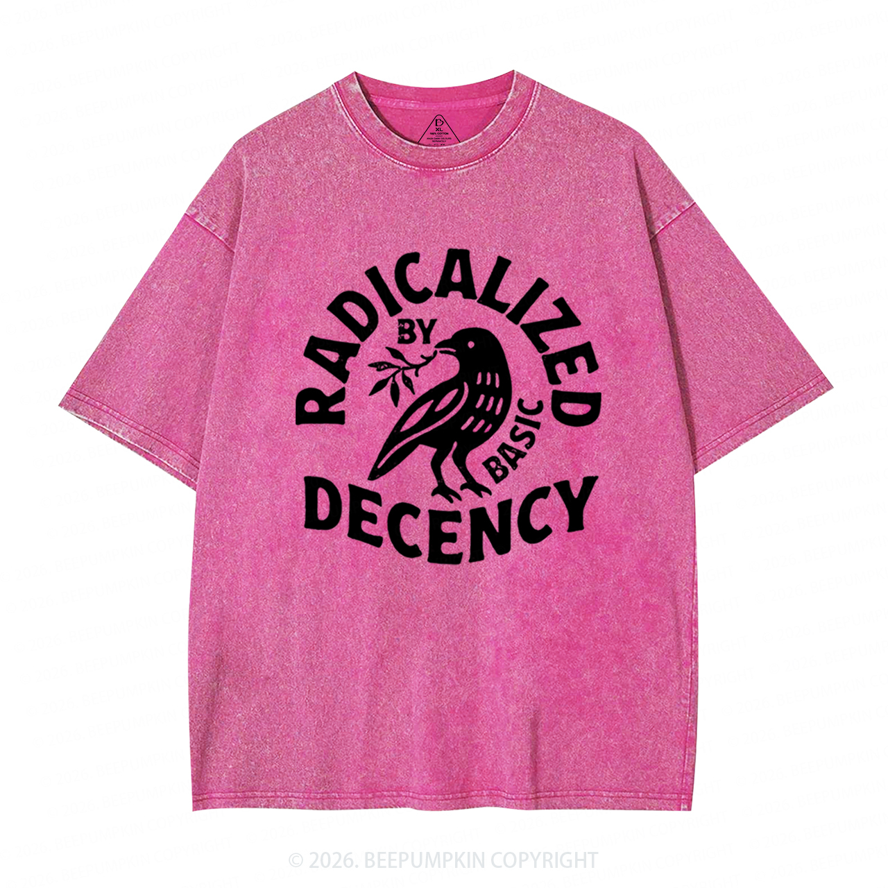 Radicalized By Basic Decency Washed T-Shirts