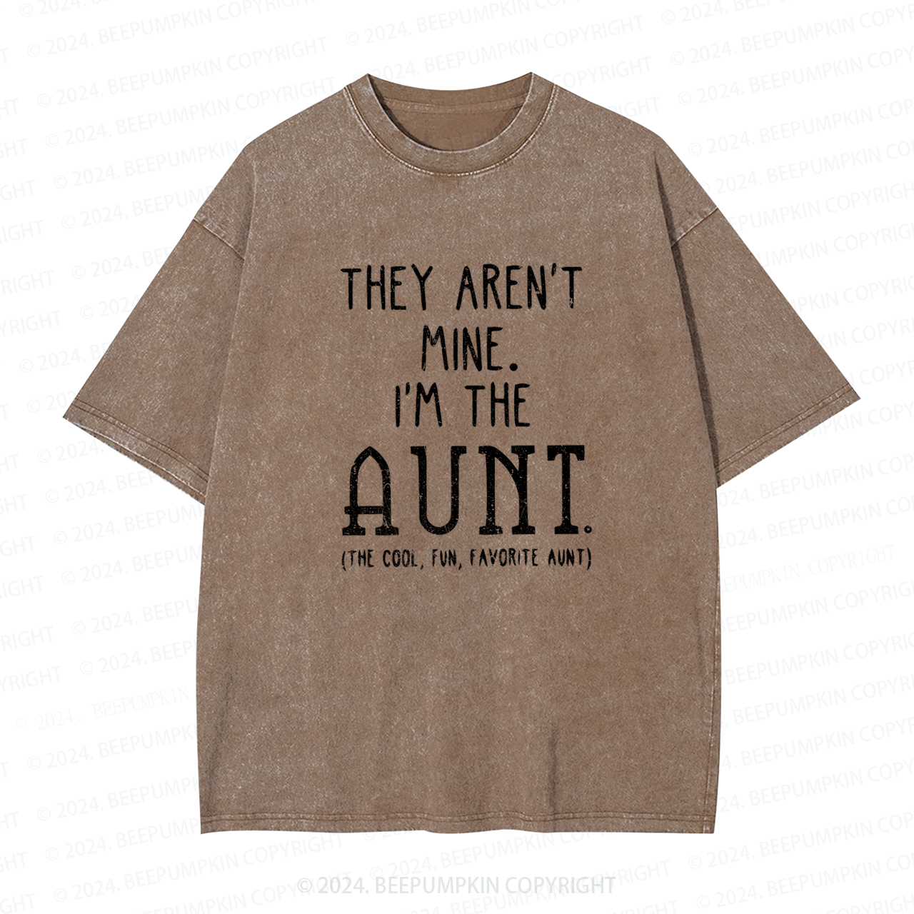 They Aren't Mine I'm The Aunt Washed Tees