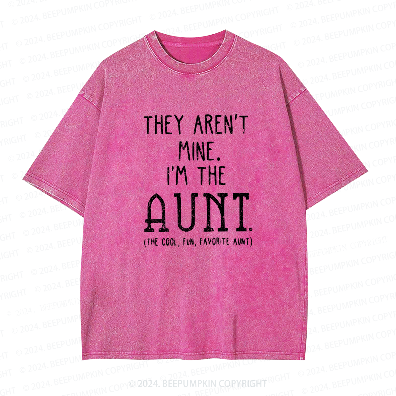 They Aren't Mine I'm The Aunt Washed Tees