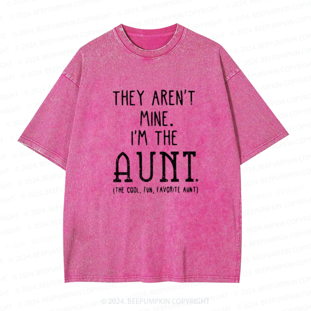They Aren't Mine I'm The Aunt Washed Tees