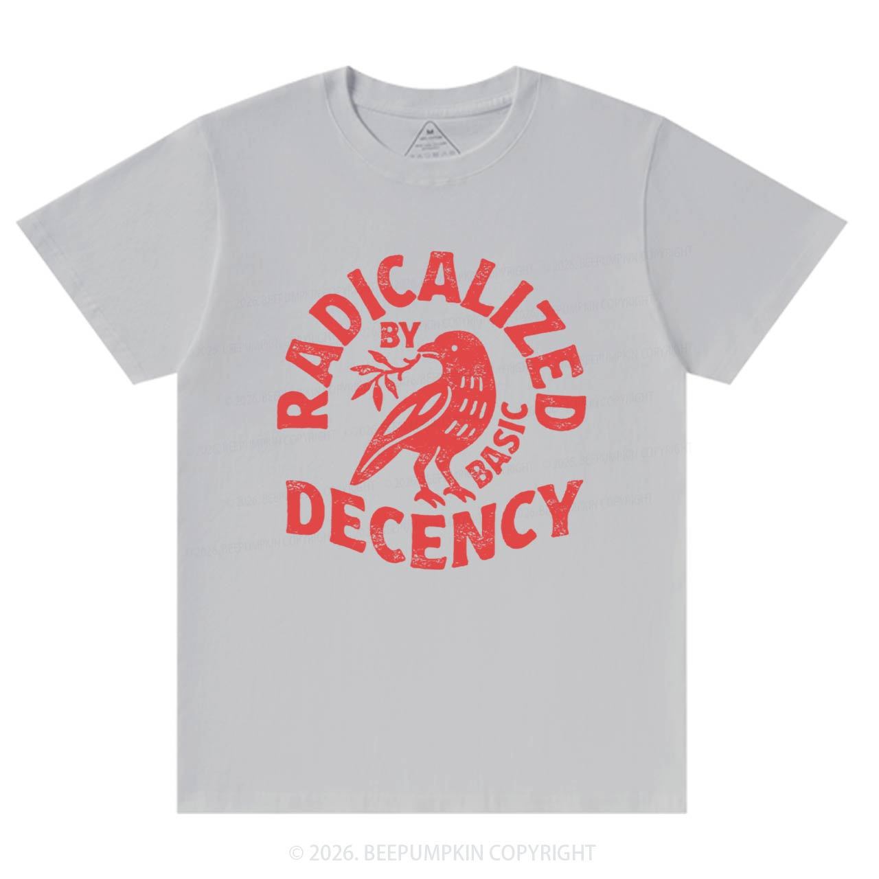 Radicalized By Basic Decency T-Shirts Beepumpkin
