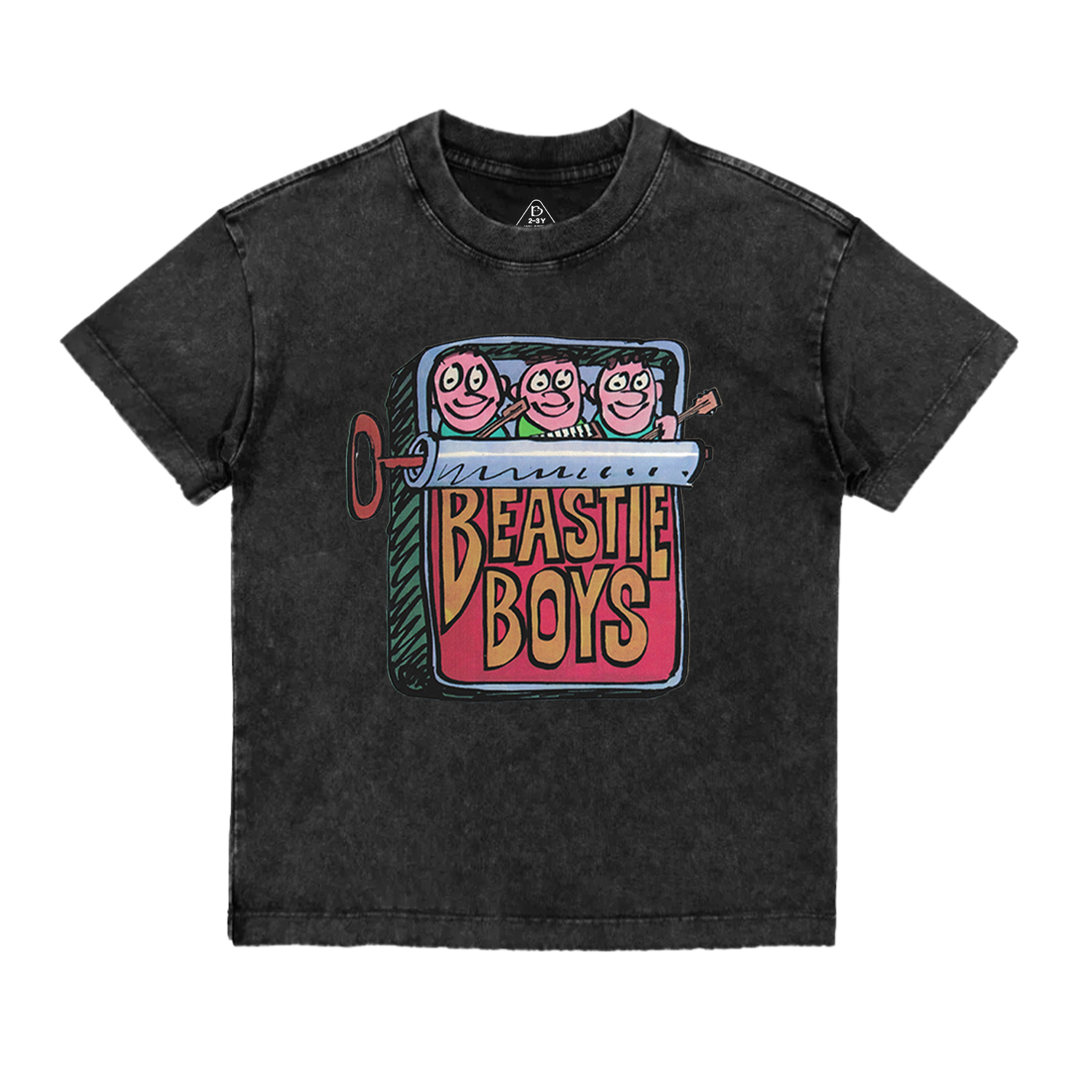 Beastie Boys Vintage Toddler&Kids Washed Tees