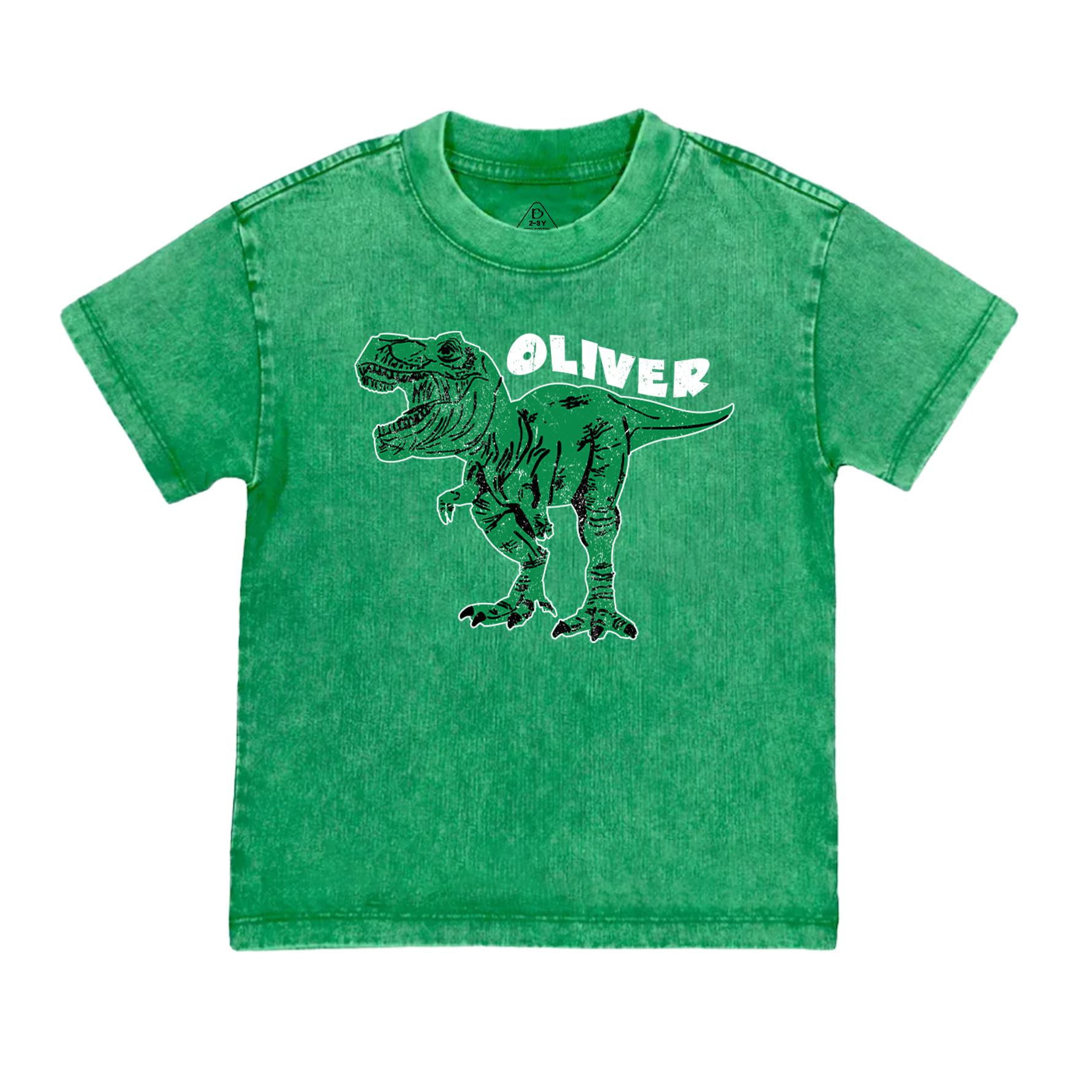  Personalized Dinosaur Toddler&Kids Washed Tees         
