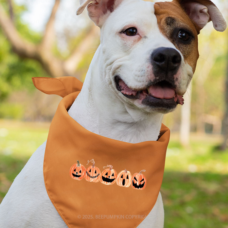 A Row Of Smiling Pumpkins Halloween Family Matching Shirts
