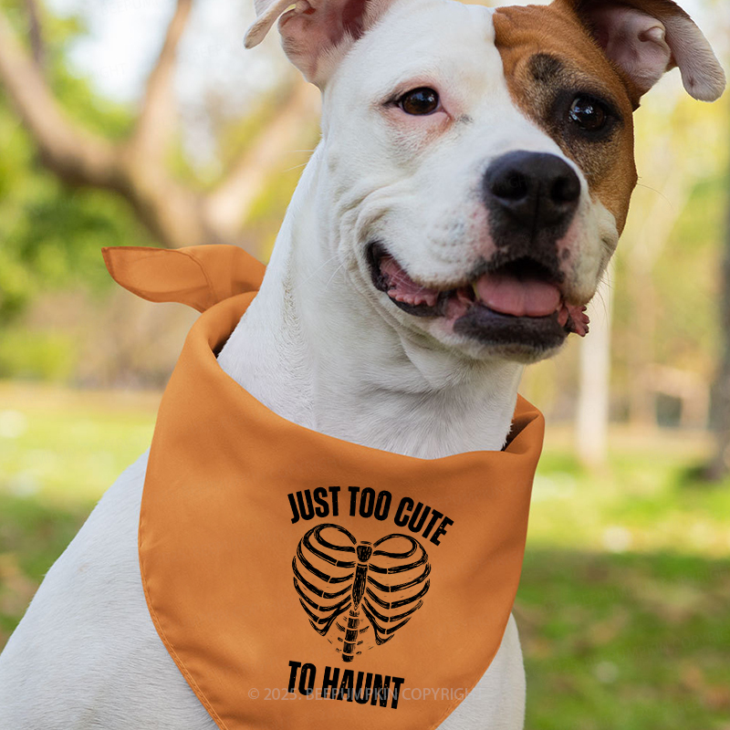 Personalized Bone Family Collection Halloween Family Matching Shirts