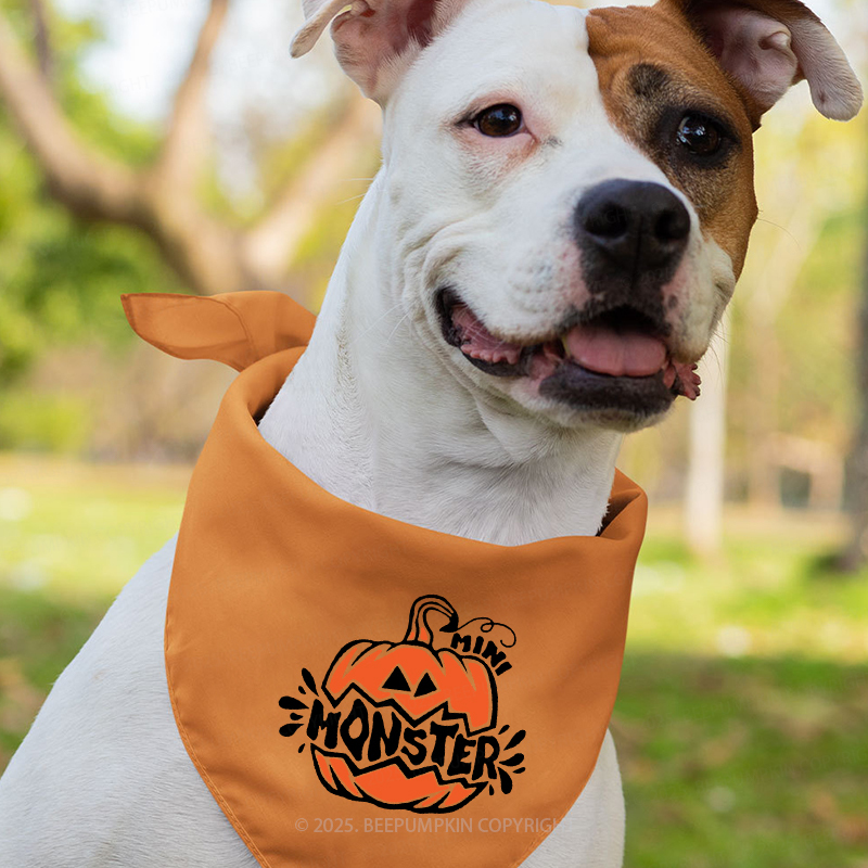 Personalized Pumpkin Boo Halloween Family Matching Shirts