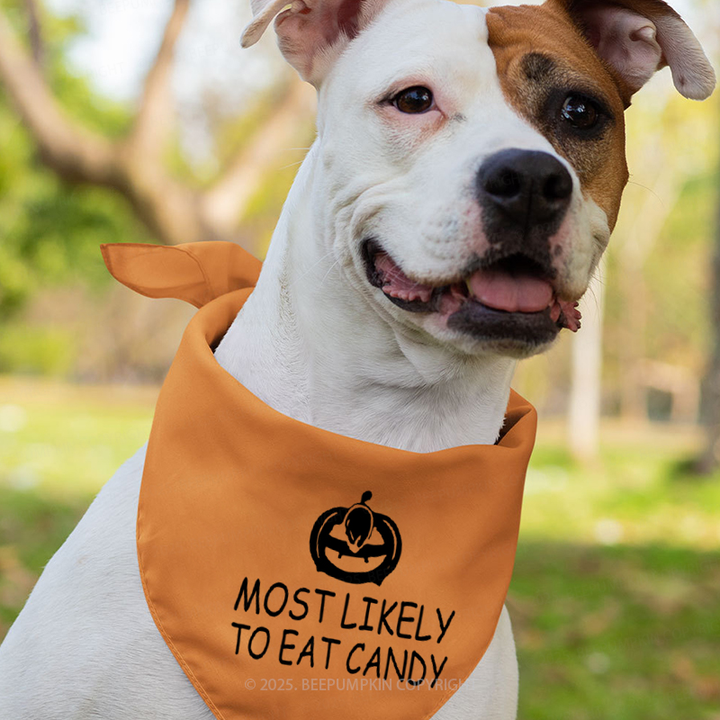 Personalized Most Likely To Halloween Family Matching Shirts