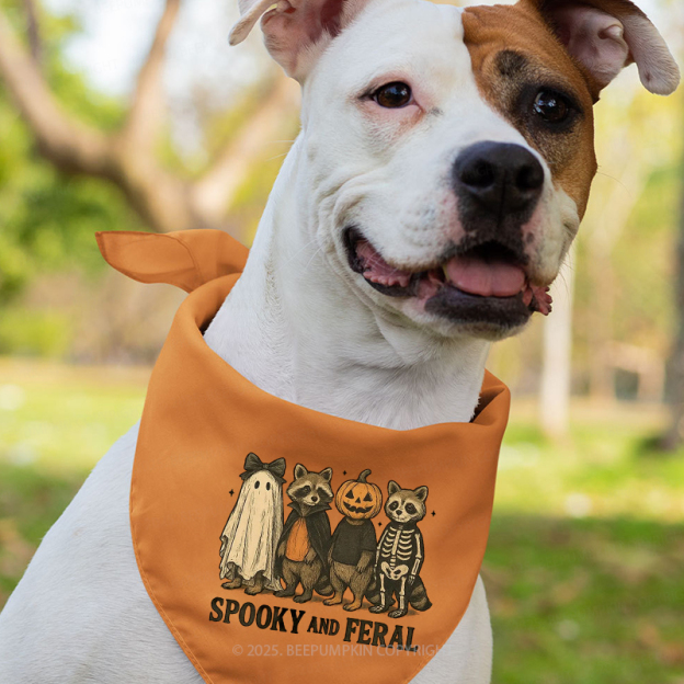 Spooky & Feral Halloween Family Matching Shirts