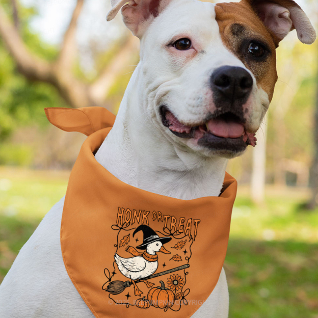 Honk Or Treat Halloween Goose Family Matching Shirts