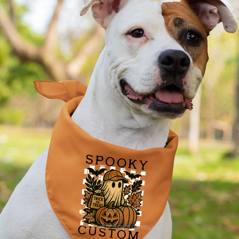 Personalized Pumpkin Patch Ghosts Halloween Family Matching Shirts