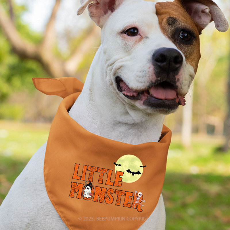 Personalized Dadcula Momster Little Monster Halloween Family Matching Shirts