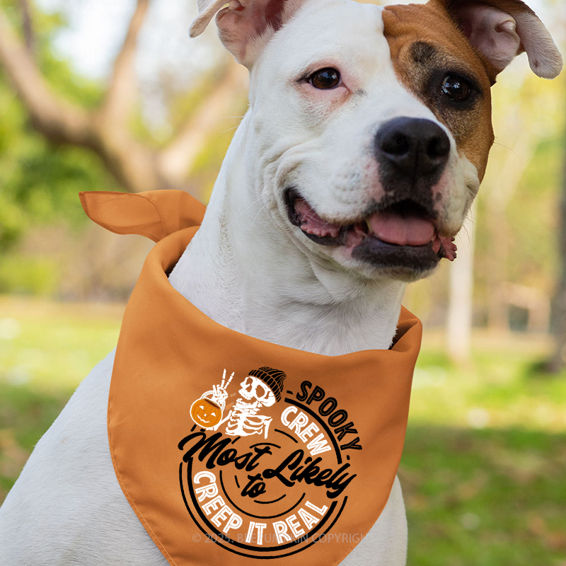 Personalized Creep It Real Squad Halloween Family Matching Shirts