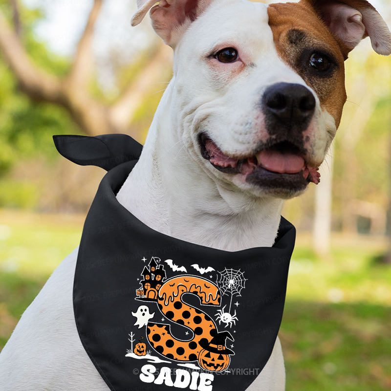 Personalized Alphabet Name Halloween Family Fun Matching Shirts