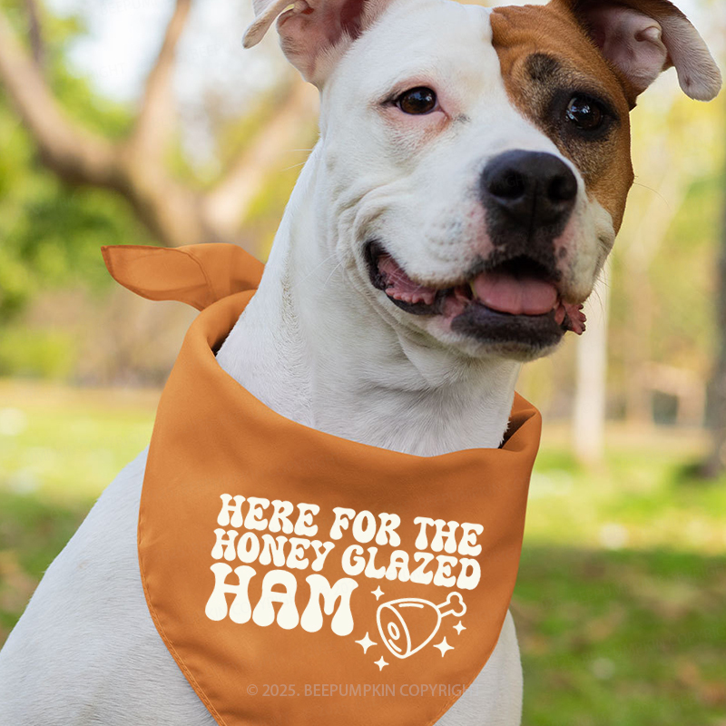 Personalized I’m Here For Thanksgiving Family Matching Shirts