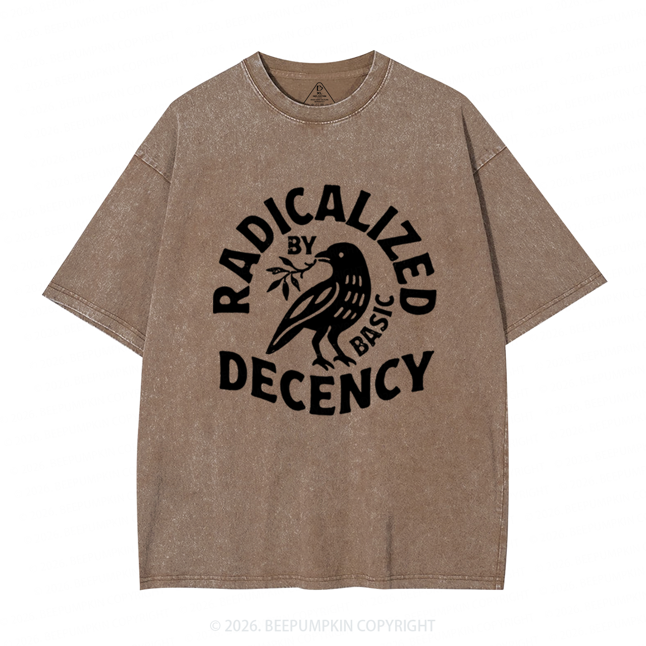 Radicalized By Basic Decency Washed T-Shirts