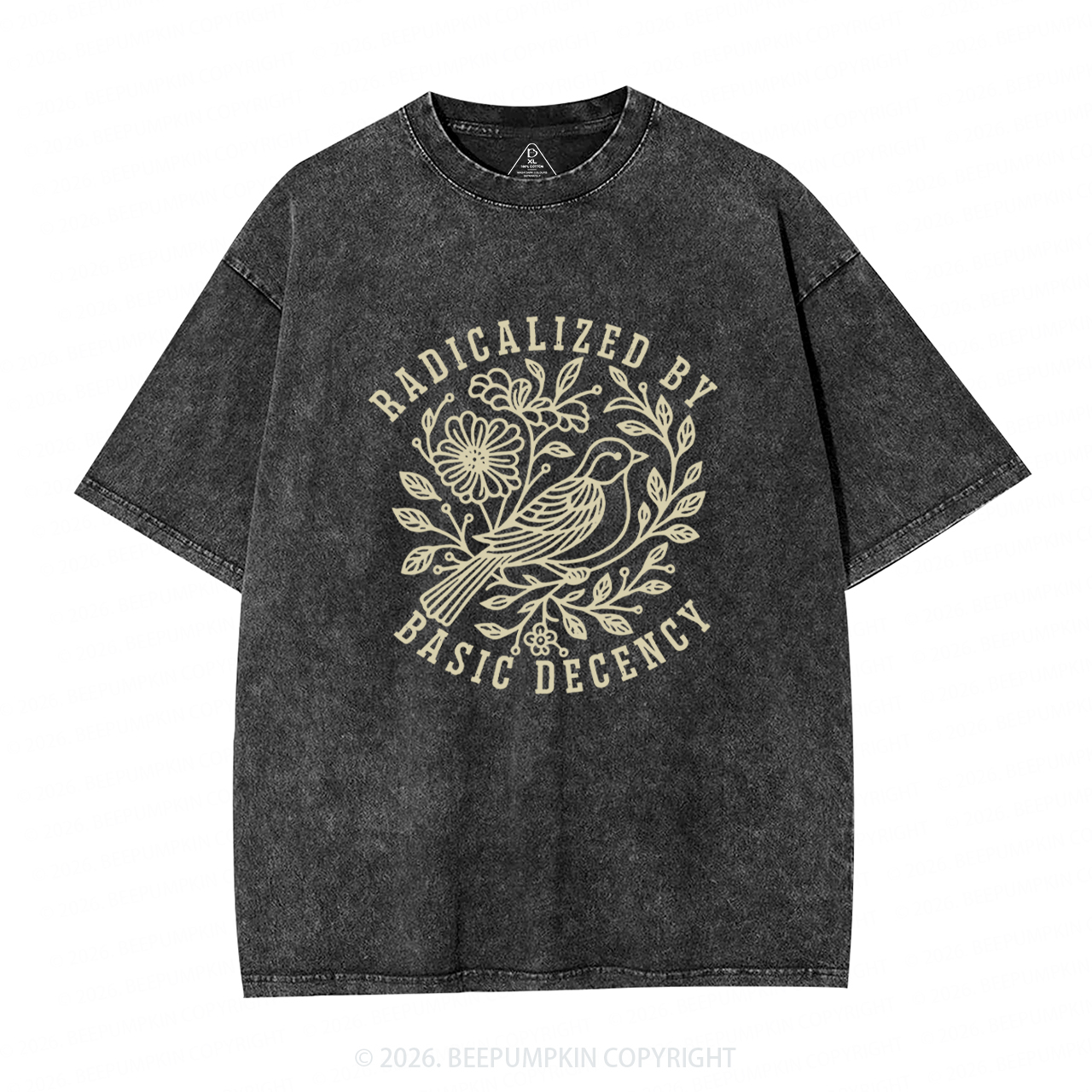 Radicalized by Basic Decency Protest Washed T-Shirts