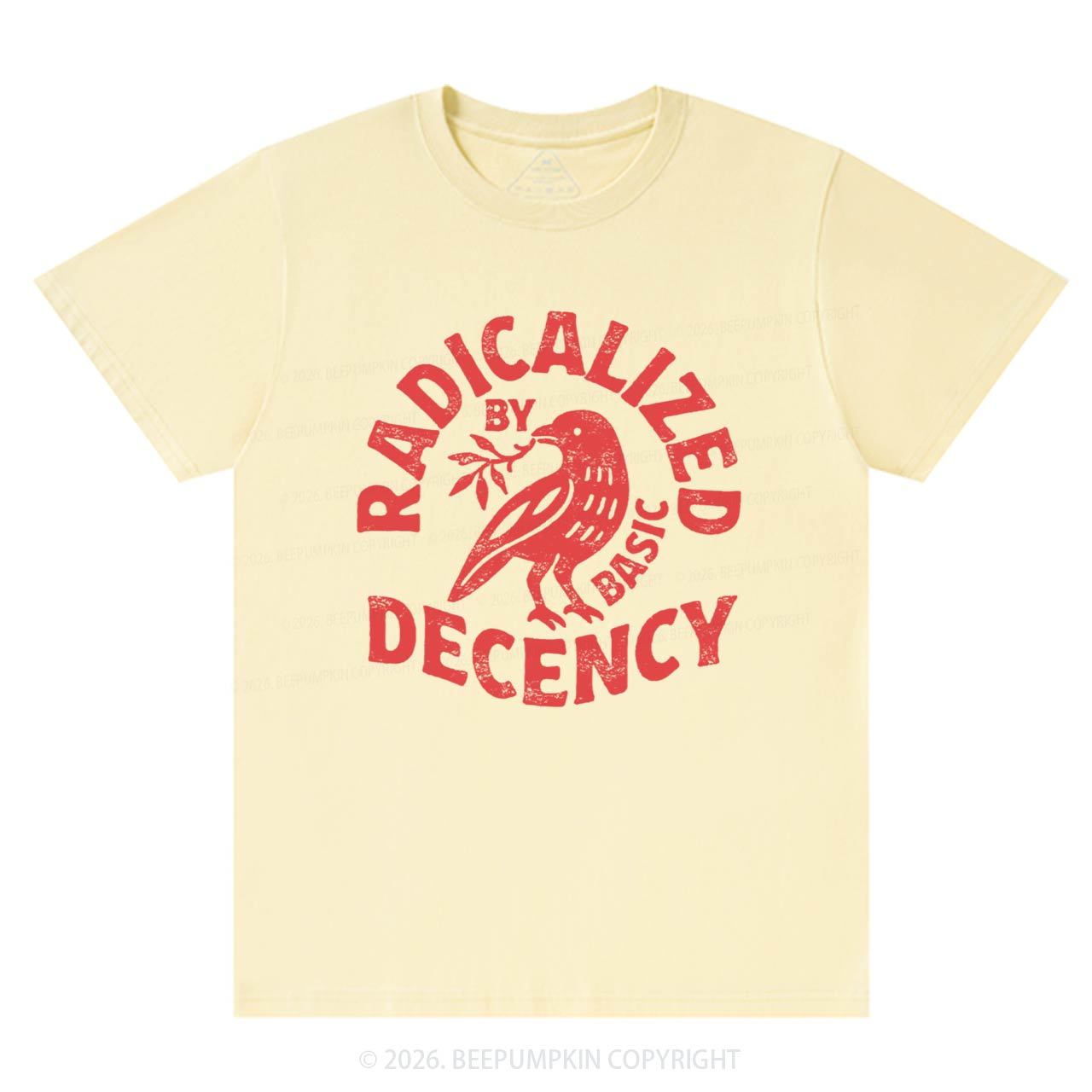 Radicalized By Basic Decency T-Shirts Beepumpkin