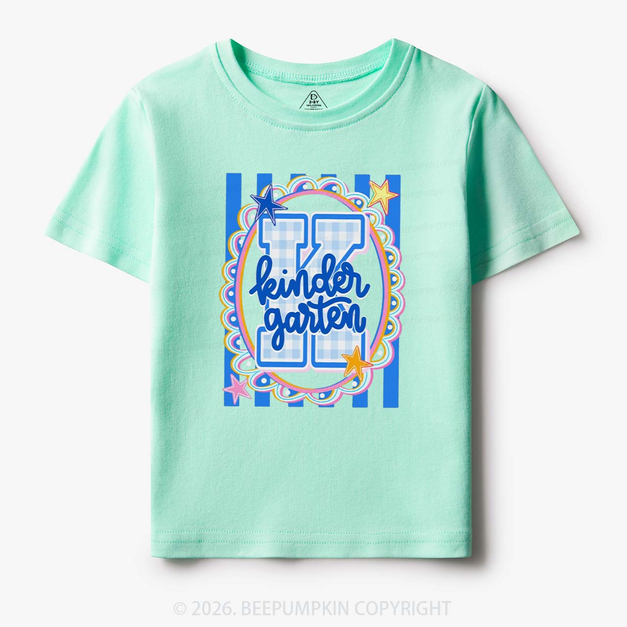 Preppy Blue Gingham Pre-K To Fourth Grade Toddler&Kid's Tees