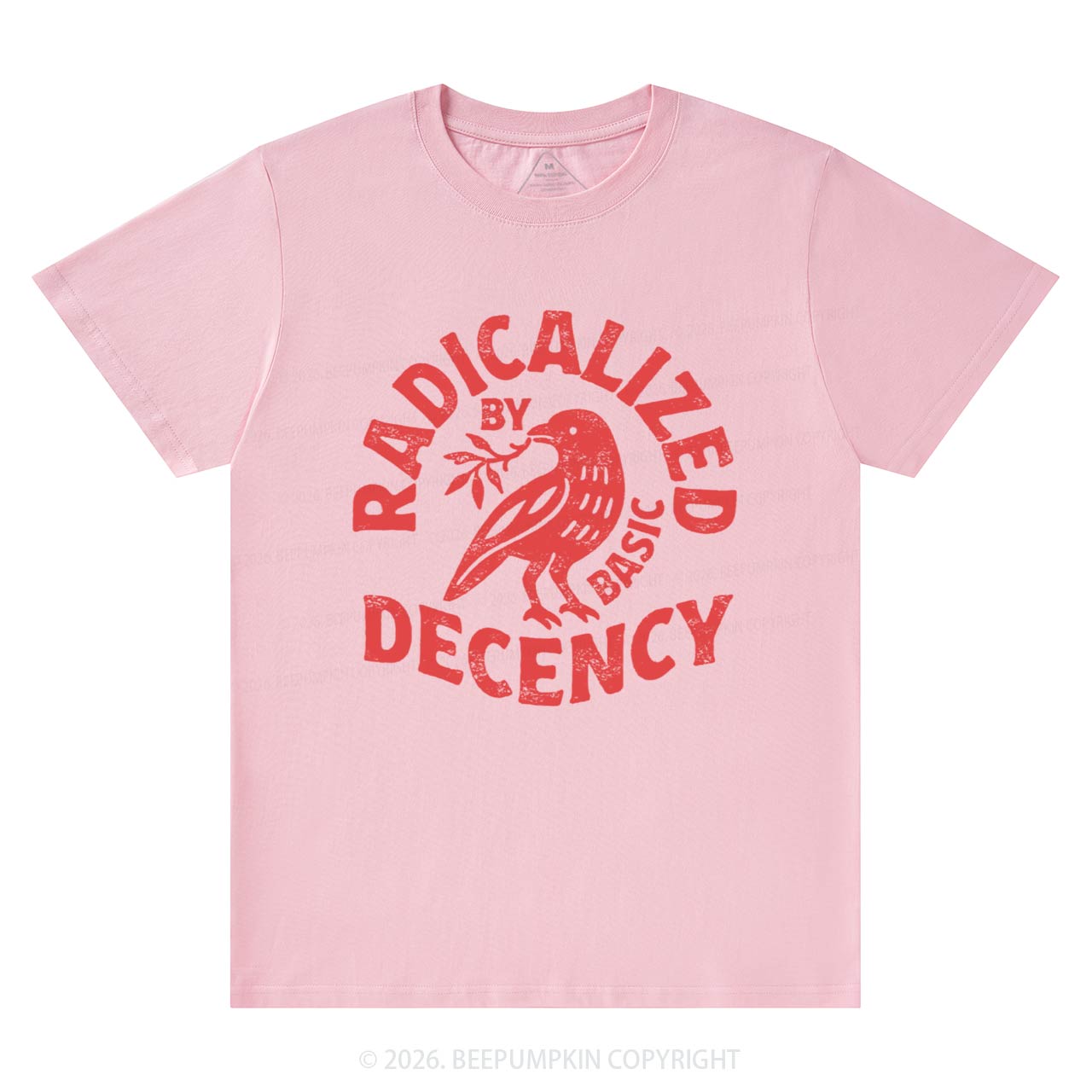 Radicalized By Basic Decency T-Shirts Beepumpkin