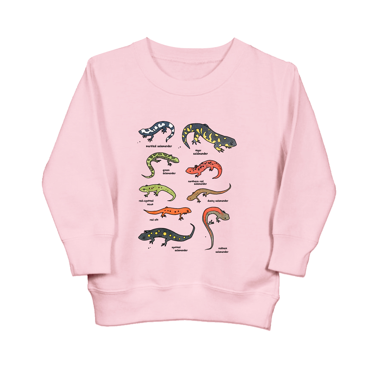 Salamanders Chart Kids Sweatshirt