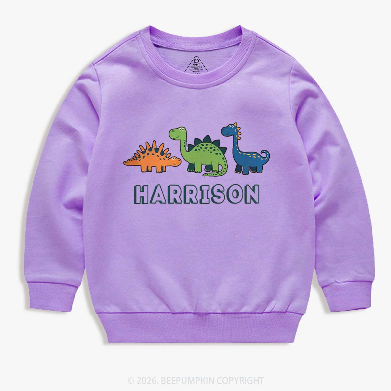 Personalized Cute Dinosaur Name Kid's Sweatshirt