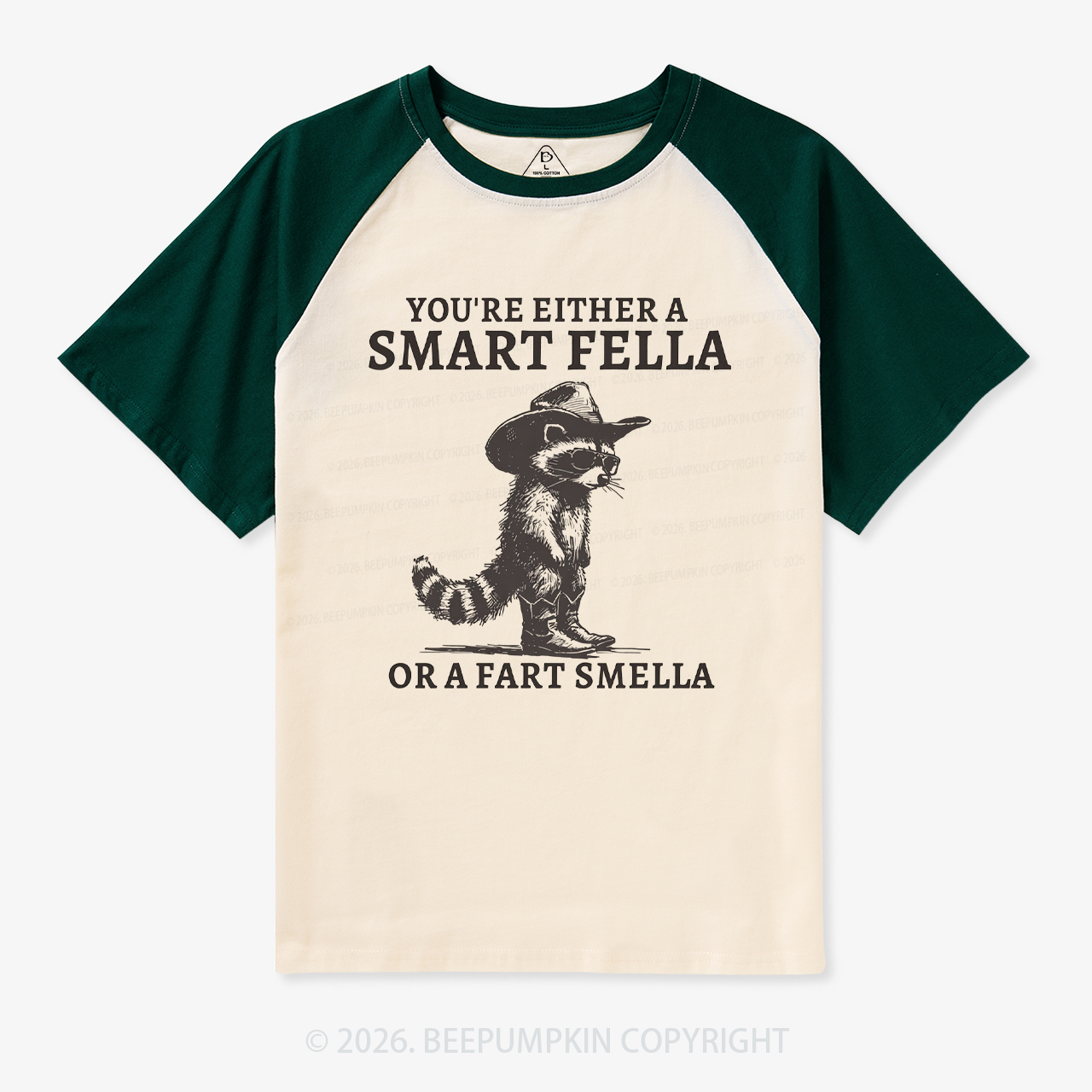 Retro Smart Fella Raccoon 90s Raglan T-Shirt