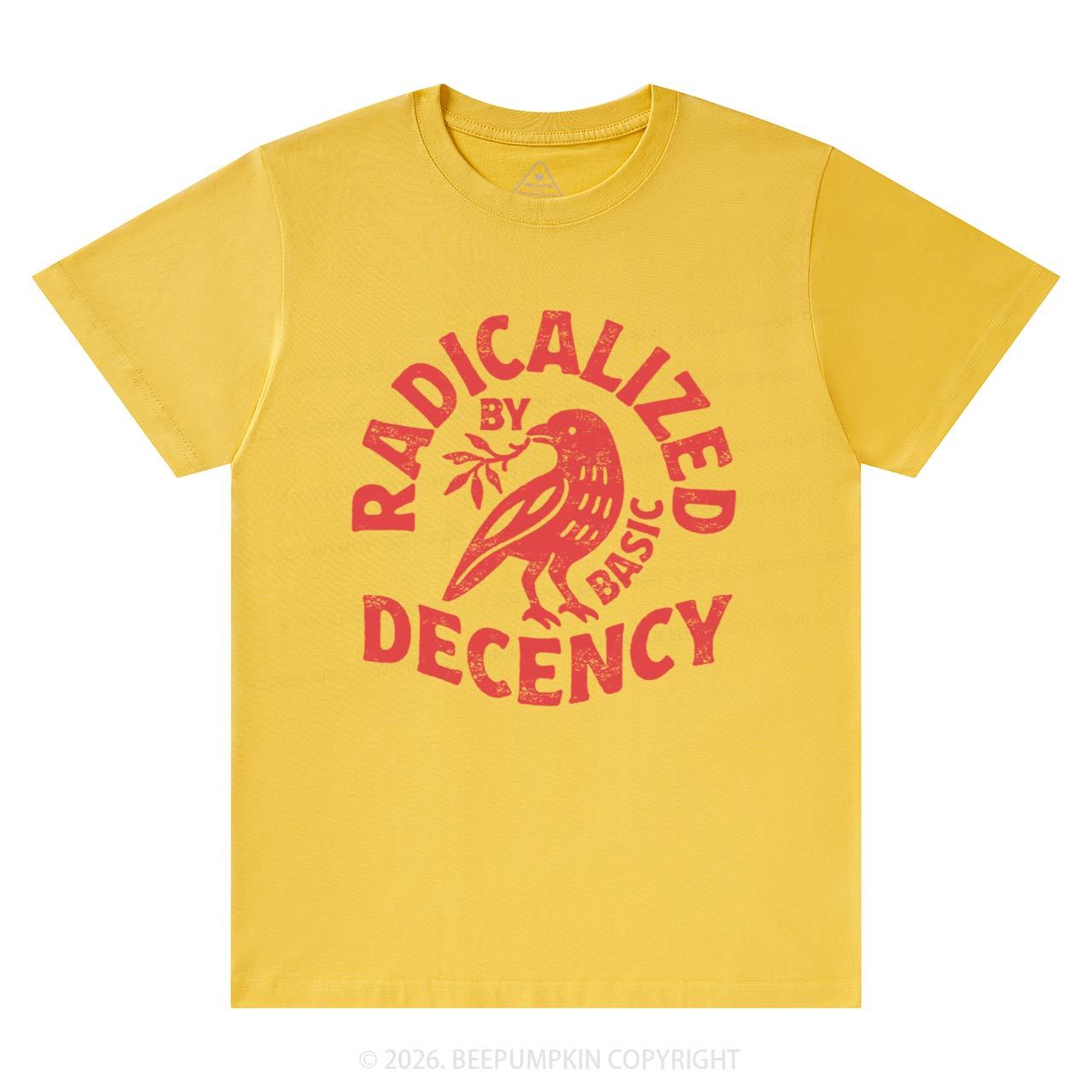 Radicalized By Basic Decency T-Shirts Beepumpkin