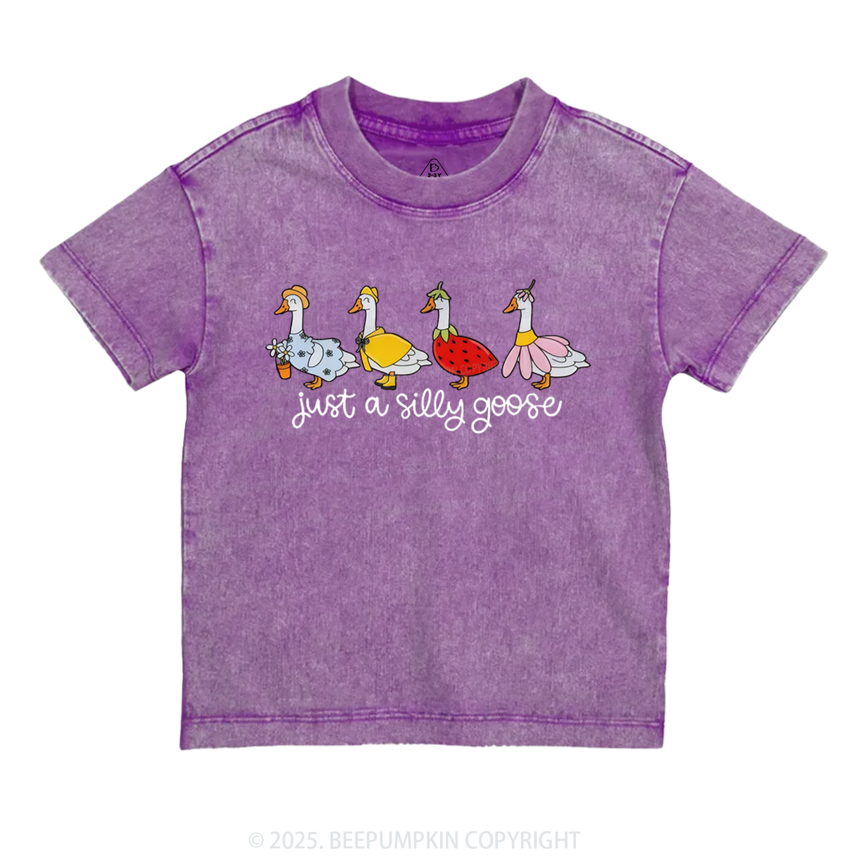 Just A Silly Goose Toddler&Kids Washed Tees 7