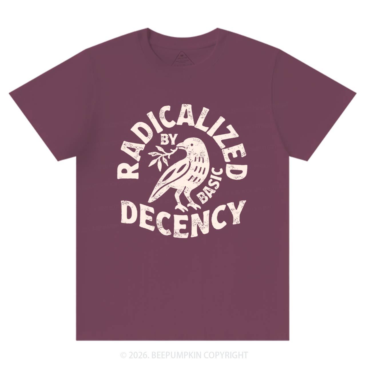 Radicalized By Basic Decency T-Shirts Beepumpkin