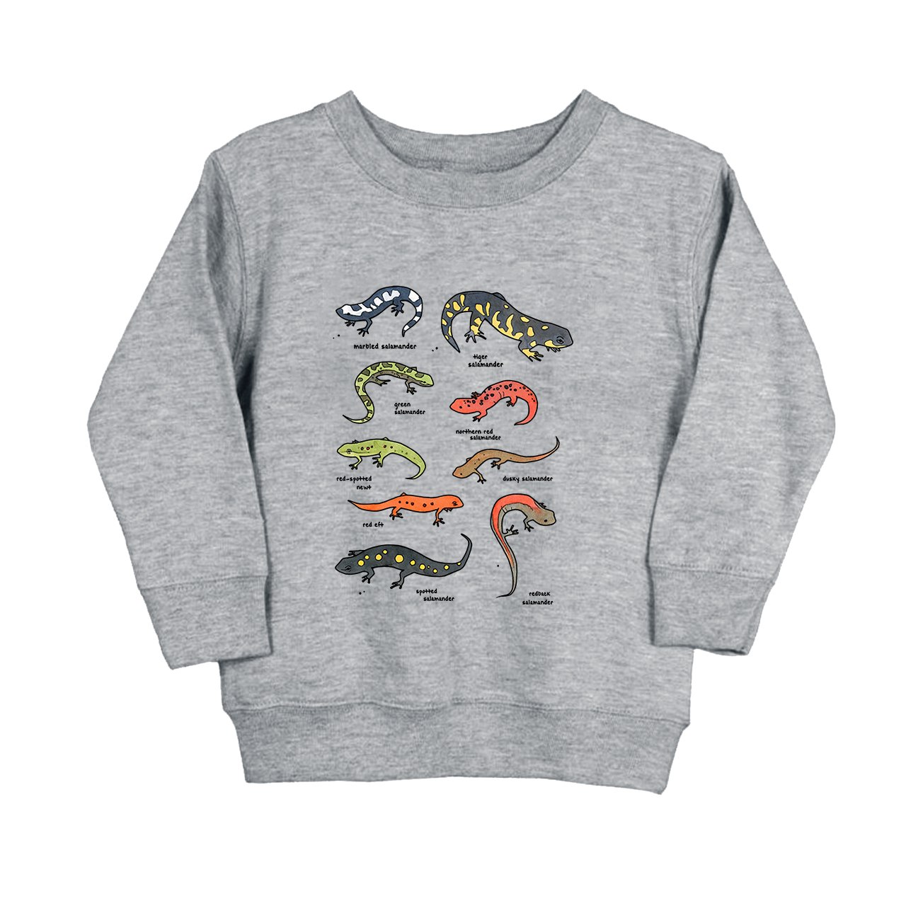 Salamanders Chart Kids Sweatshirt