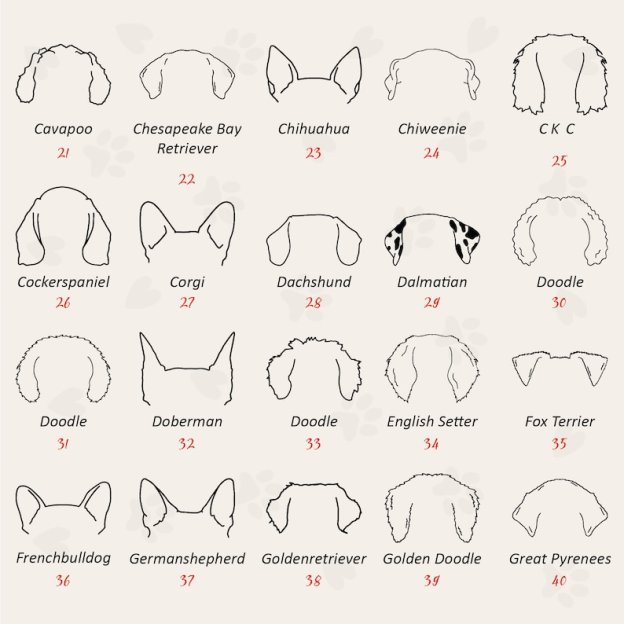 Personalized Dog Ears Mama T-Shirts