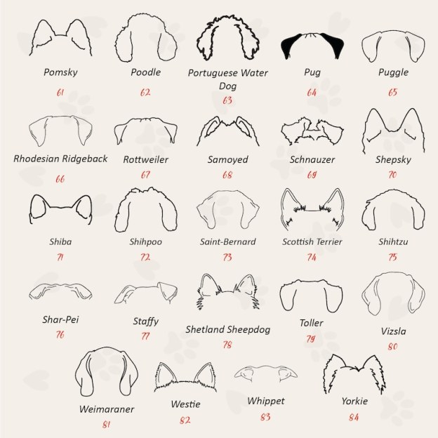 Personalized Dog Ears Mama T-Shirts