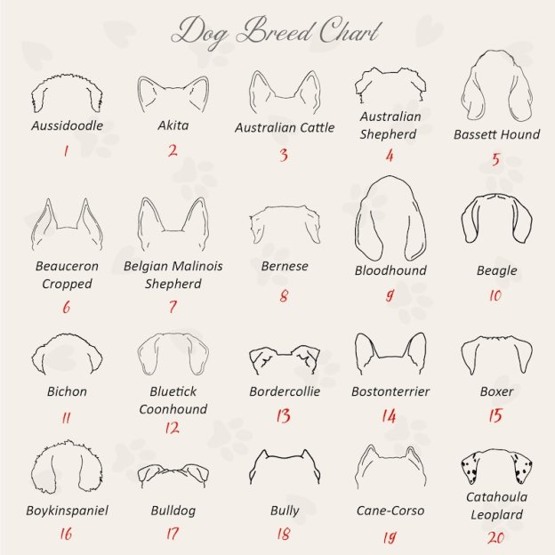 Personalized Dog Ears Mama T-Shirts